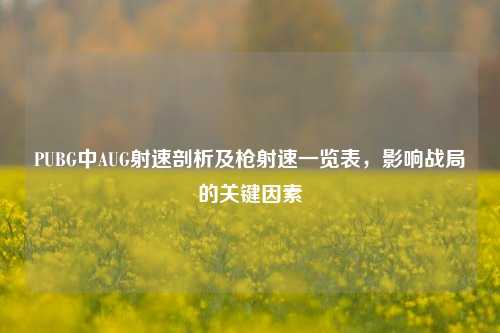 PUBG中AUG射速剖析及枪射速一览表，影响战局的关键因素