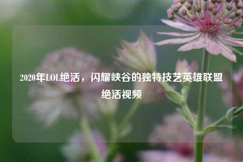 2020年LOL绝活,闪耀峡谷的独特技艺英雄联盟绝活视频