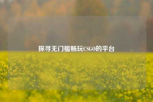 探寻无门槛畅玩CSGO的平台