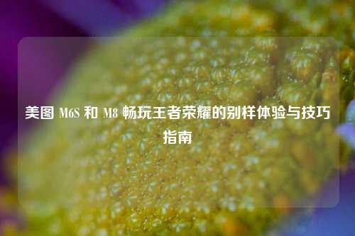 美图 M6S 和 M8 畅玩王者荣耀的别样体验与技巧指南