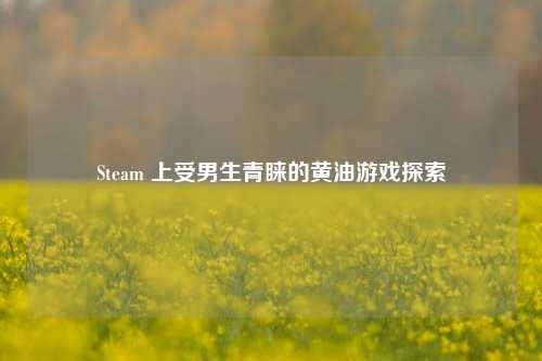 Steam 上受男生青睐的黄油游戏探索