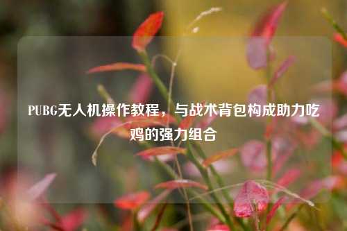 PUBG无人机操作教程，与战术背包构成助力吃鸡的强力组合