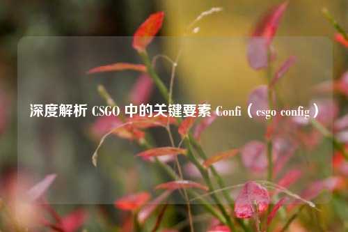 深度解析 CSGO 中的关键要素 Confi(csgo config)