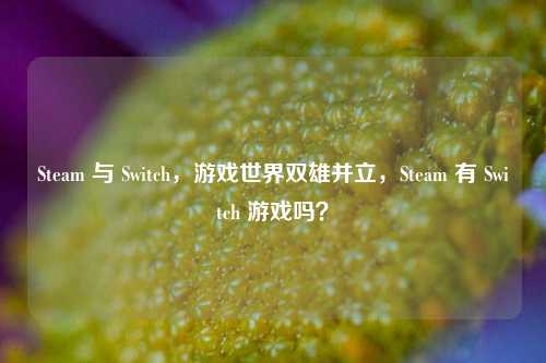 Steam 与 Switch，游戏世界双雄并立，Steam 有 Switch 游戏吗？