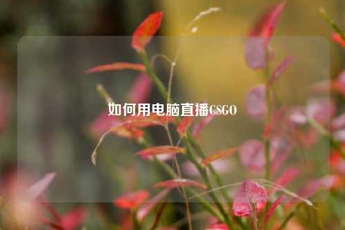 如何用电脑直播CSGO