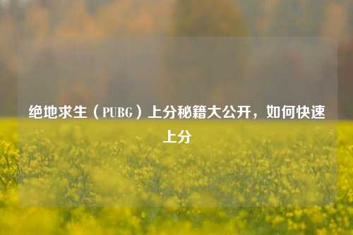 绝地求生（PUBG）上分秘籍大公开，如何快速上分