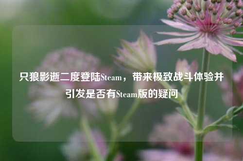 只狼影逝二度登陆Steam，带来极致战斗体验并引发是否有Steam版的疑问