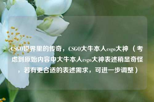 CSGO世界里的传奇,CSGO大牛本人csgo大神 (考虑到原始内容中大牛本人csgo大神表述稍显奇怪,若有更合适的表述需求,可进一步调整)