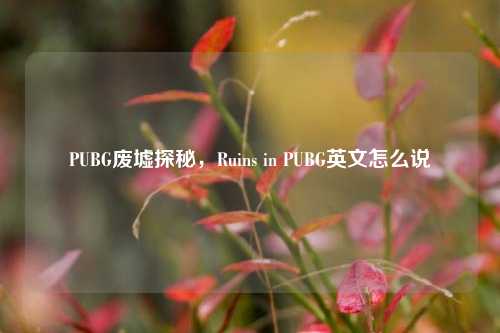 PUBG废墟探秘，Ruins in PUBG英文怎么说