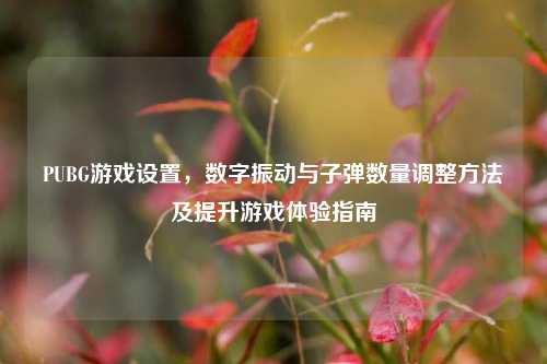 PUBG游戏设置，数字振动与子弹数量调整方法及提升游戏体验指南