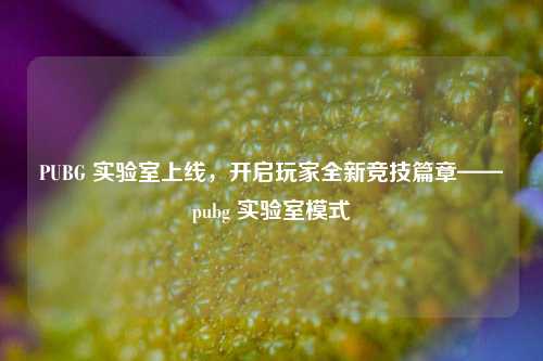 PUBG 实验室上线，开启玩家全新竞技篇章——pubg 实验室模式