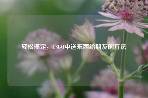 轻松搞定,CSGO中送东西给朋友的方法