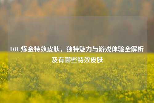 LOL 炼金特效皮肤，独特魅力与游戏体验全解析及有哪些特效皮肤