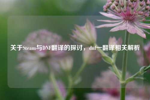 关于Steam与DNF翻译的探讨，dnf一翻译相关解析