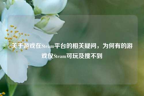 关于游戏在Steam平台的相关疑问，为何有的游戏仅Steam可玩及搜不到