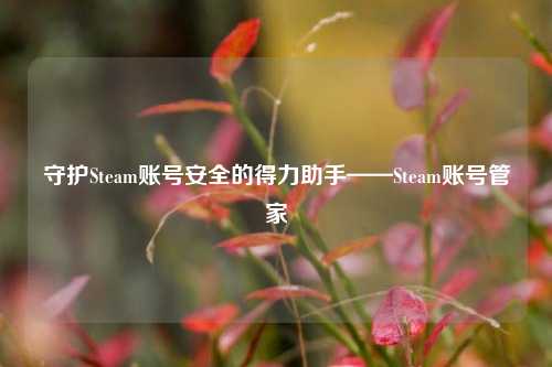 守护Steam账号安全的得力助手——Steam账号管家