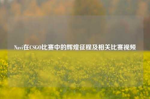 Navi在CSGO比赛中的辉煌征程及相关比赛视频