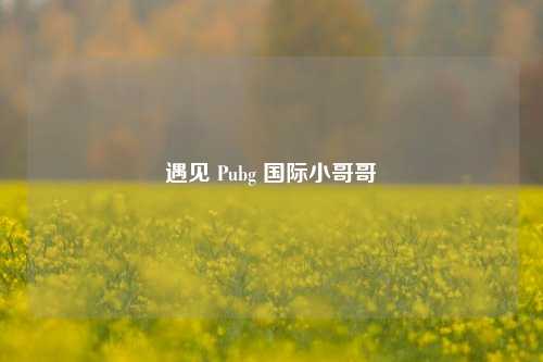 遇见 Pubg 国际小哥哥
