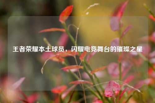 王者荣耀本土球员，闪耀电竞舞台的璀璨之星