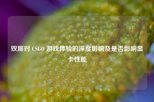 双屏对 CSGO 游戏体验的深度影响及是否影响显卡性能