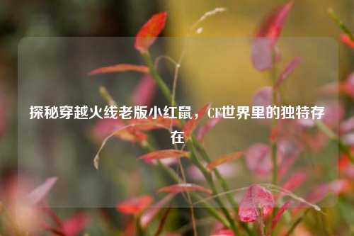 探秘穿越火线老版小红鼠,CF世界里的独特存在