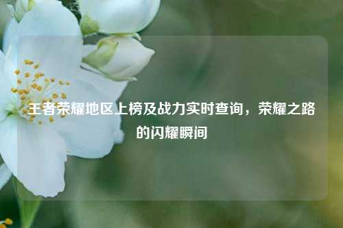 王者荣耀地区上榜及战力实时查询,荣耀之路的闪耀瞬间