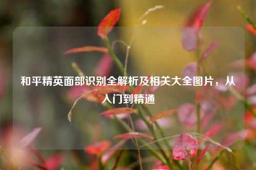 和平精英面部识别全解析及相关大全图片,从入门到精通