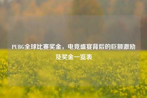 PUBG全球比赛奖金，电竞盛宴背后的巨额激励及奖金一览表