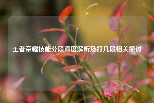 王者荣耀技能分段深度解析及打几段相关探讨