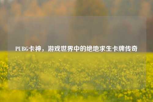 PUBG卡神,游戏世界中的绝地求生卡牌传奇