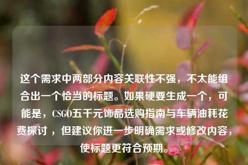这个需求中两部分内容关联性不强,不太能组合出一个恰当的标题。如果硬要生成一个,可能是,CSGO五千元饰品选购指南与车辆油耗花费探讨 ,但建议你进一步明确需求或修改内容,使标题更符合预期。