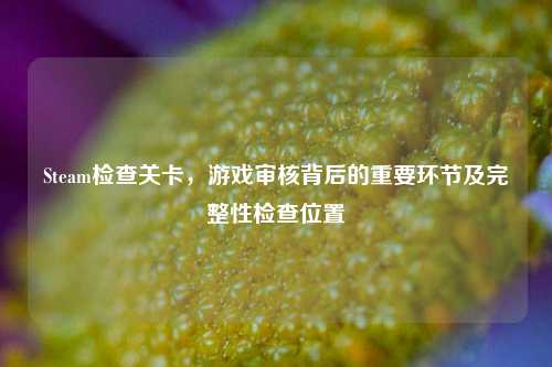 Steam检查关卡,游戏审核背后的重要环节及完整性检查位置