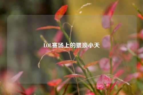 LOL赛场上的猥琐小天