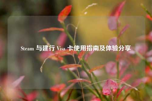 Steam 与建行 Visa 卡使用指南及体验分享