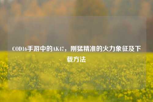 COD16手游中的AK47，刚猛精准的火力象征及下载方法