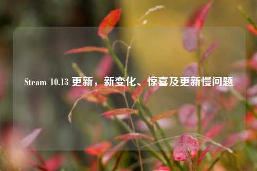 Steam 10.13 更新,新变化、惊喜及更新慢问题