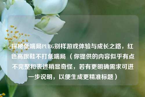 探秘低端局PUBG别样游戏体验与成长之路,红色高跟鞋不打低端局 (你提供的内容似乎有点不完整和表述稍显奇怪,若有更明确需求可进一步说明,以便生成更精准标题)