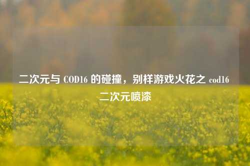 二次元与 COD16 的碰撞,别样游戏火花之 cod16 二次元喷漆