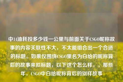 中14油耗投多少钱一公里与前面关于CSGO昵称故事的内容关联性不大,不太能组合出一个合适的标题。如果仅围绕CSGO里名为白给的昵称背后的故事来拟标题,以下这个怎么样,,那些年,CSGO中白给昵称背后的别样故事