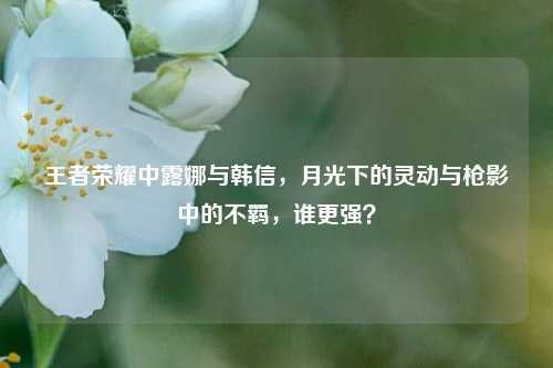 王者荣耀中露娜与韩信，月光下的灵动与枪影中的不羁，谁更强？