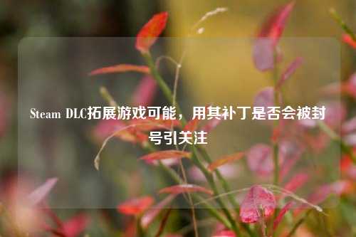Steam DLC拓展游戏可能,用其补丁是否会被封号引关注