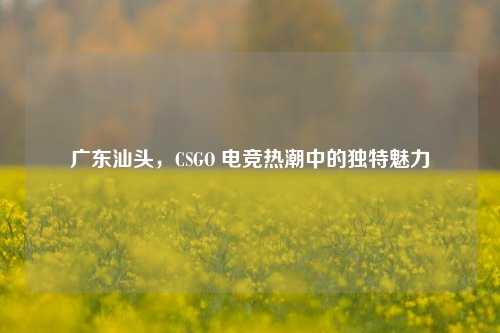 广东汕头，CSGO 电竞热潮中的独特魅力