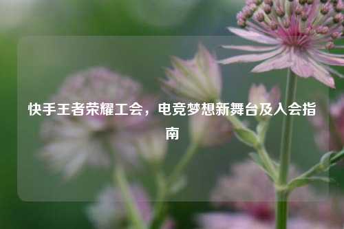 快手王者荣耀工会，电竞梦想新舞台及入会指南
