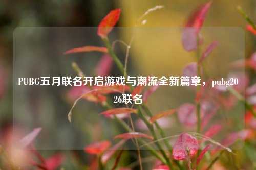 PUBG五月联名开启游戏与潮流全新篇章，pubg2026联名