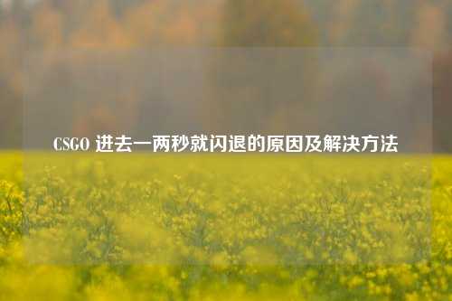 CSGO 进去一两秒就闪退的原因及解决方法