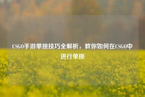 CSGO手游单挑技巧全解析,教你如何在CSGO中进行单挑