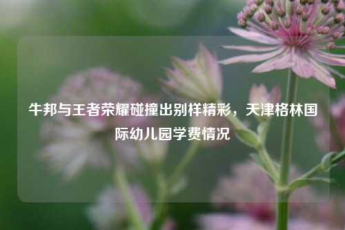 牛邦与王者荣耀碰撞出别样精彩，天津格林国际幼儿园学费情况