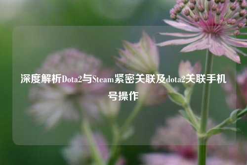 深度解析Dota2与Steam紧密关联及dota2关联手机号操作