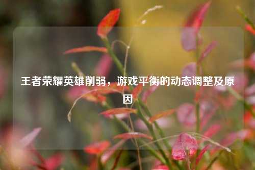 王者荣耀英雄削弱，游戏平衡的动态调整及原因