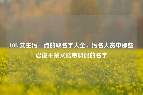 LOL 女生污一点的取名字大全,污名大赏中那些忍俊不禁又略带调侃的名字